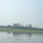 Vraj-Yatra-2014- (592)